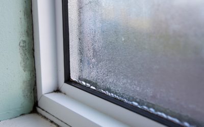 7 Tips for Spotting the Signs of Mold Growth in Your Home